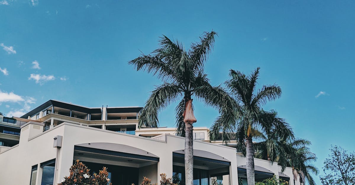 Addressing Odour Issues in Synthetic Turf Care