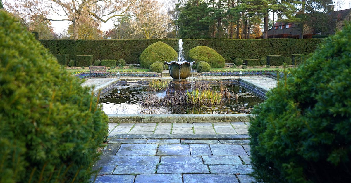 Assessing Drainage Needs for Synthetic Turf Areas