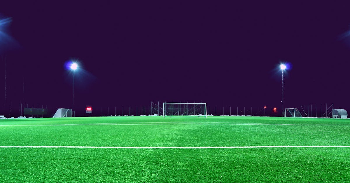 Comparing Natural Grass and Synthetic Turf: What Brisbane Homeowners Should Know