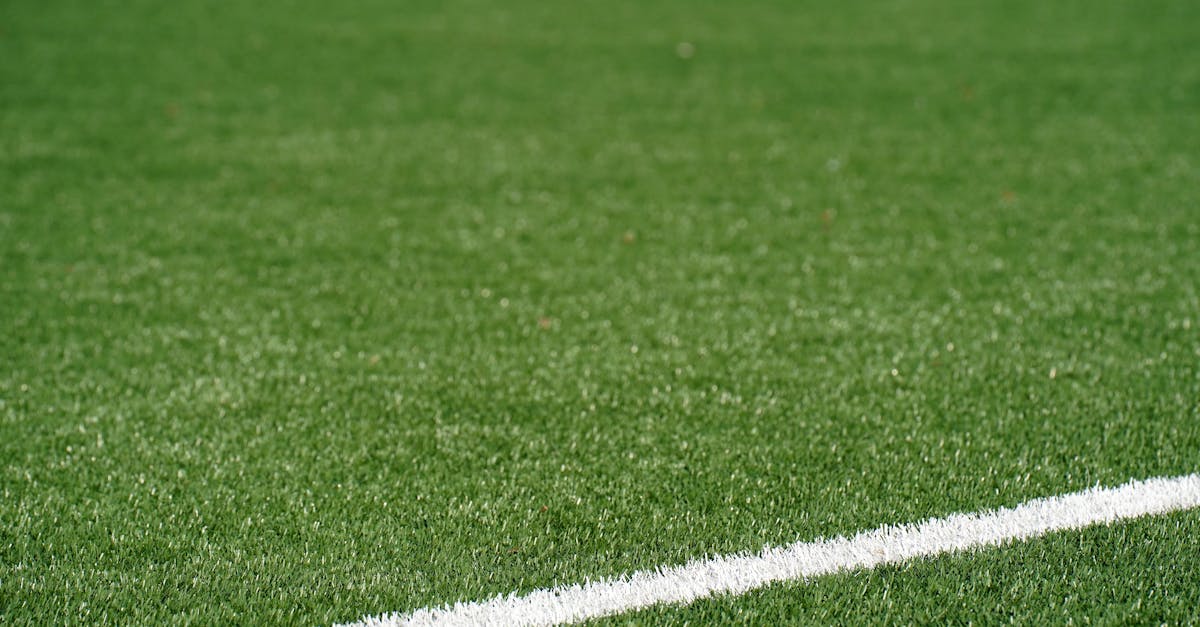 Creating an Effective Maintenance Schedule for Synthetic Turf in Brisbane