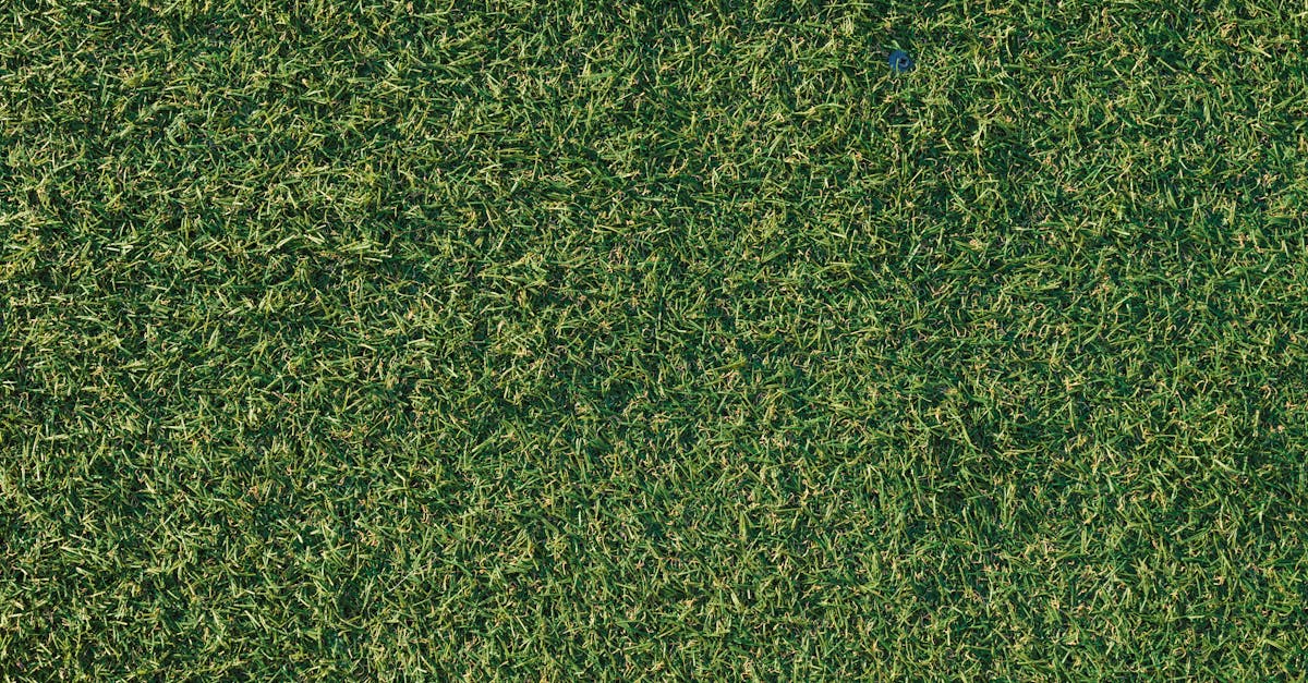 Effective Vacuuming Techniques for Synthetic Turf