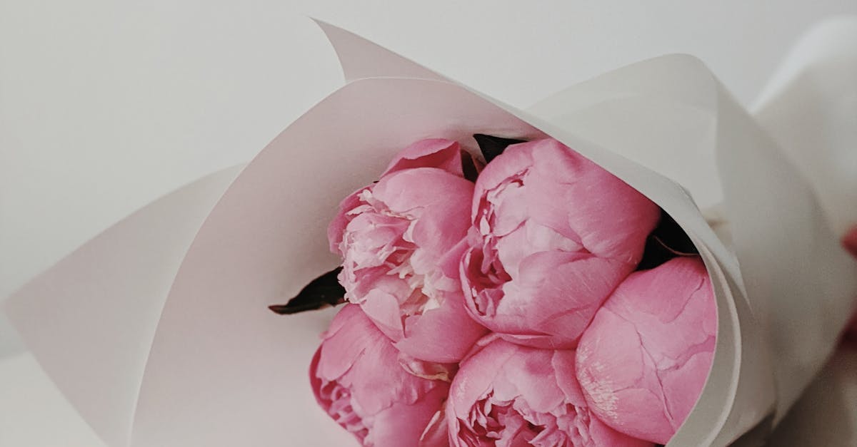 Enhancing Property Value through Synthetic Turf Installations