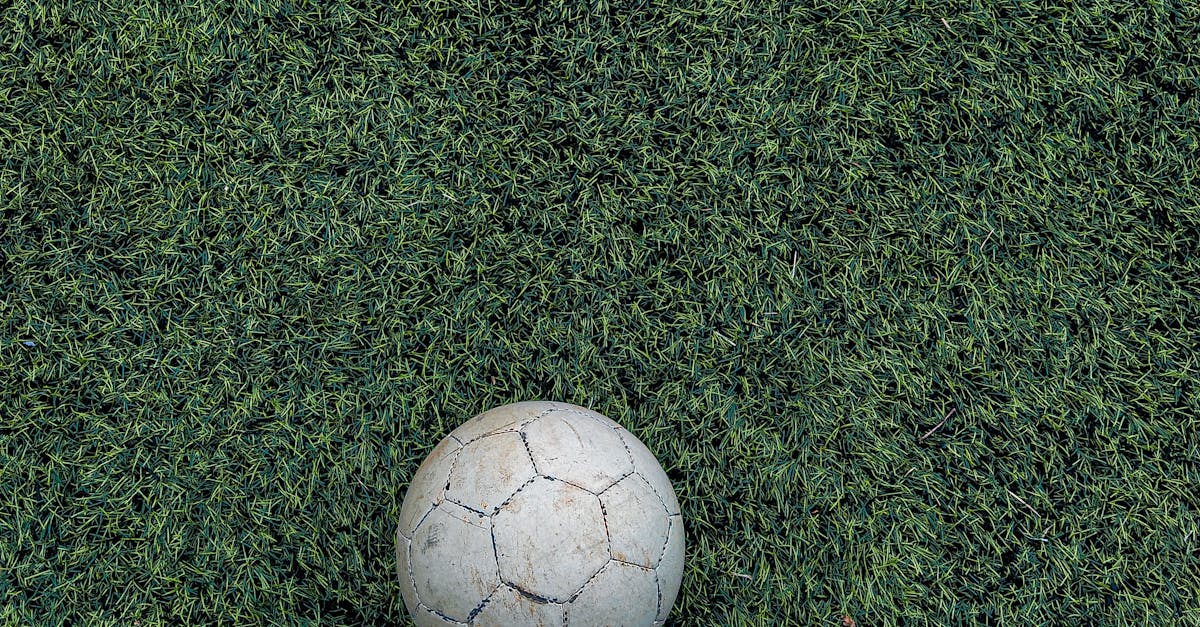 Frequency of Cleaning: How Often Should You Maintain Synthetic Turf