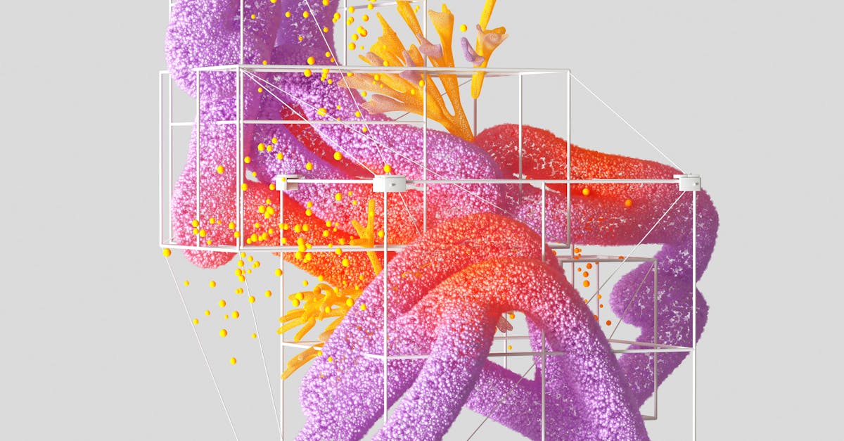 How to Refresh Your Synthetic Turf After the Wet Season