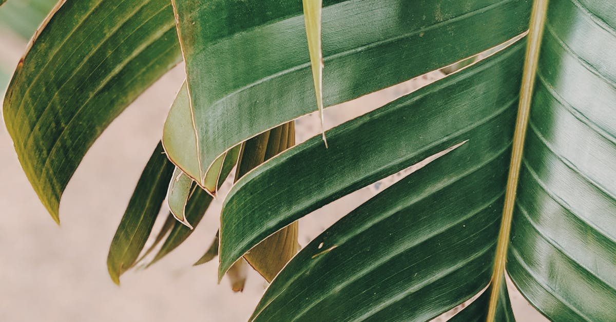 Innovative Seam Techniques for Enhanced Turf Performance