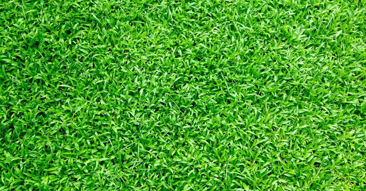 Lower Maintenance Costs of Synthetic Turf Compared to Natural Grass