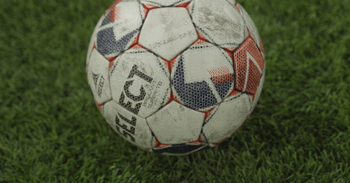 Preparing Your Synthetic Turf for the Winter Season in Brisbane