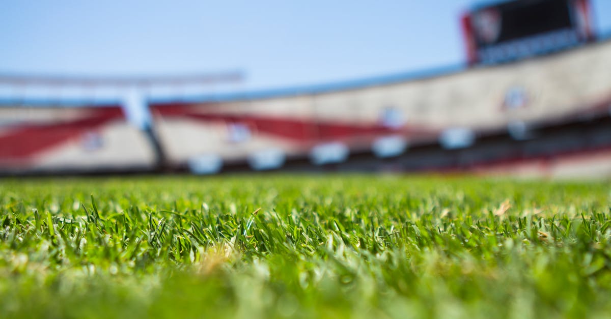 Seasonal Timing for Fertilisation of Synthetic Grass in Brisbane