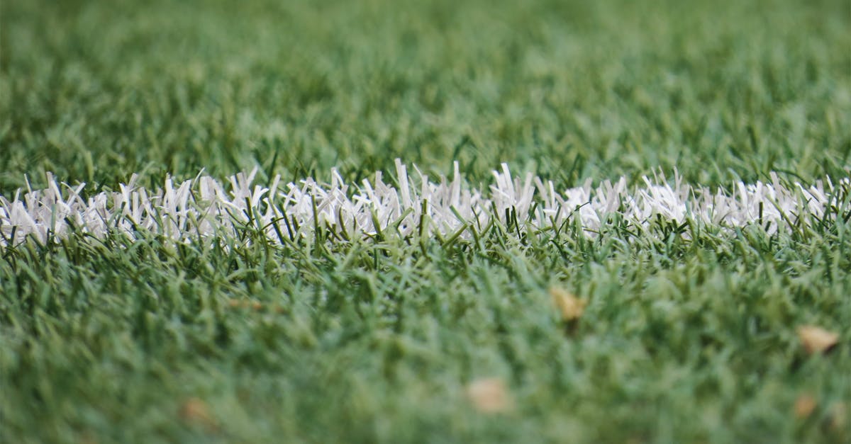 Simple Steps to Maintain Pest-Free Synthetic Playing Fields