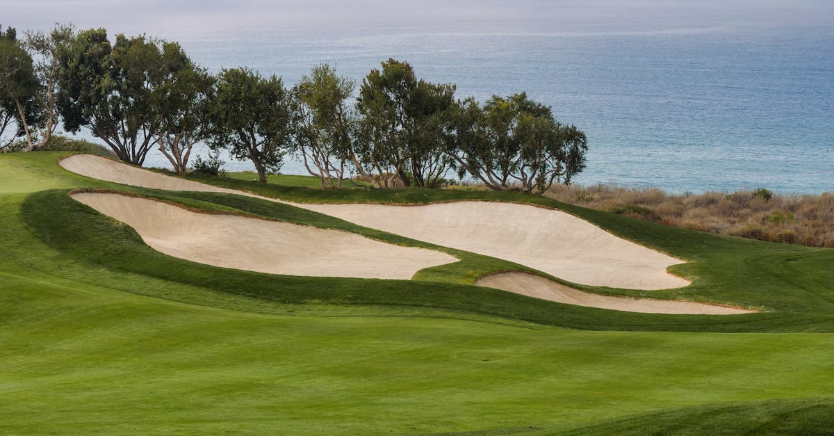 The Advantages of Minimal Upkeep with Synthetic Turf in Brisbane