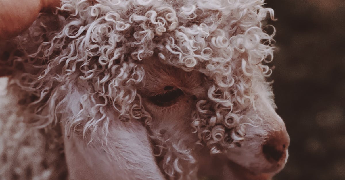 The Importance of Proper Adhesive Curing Times