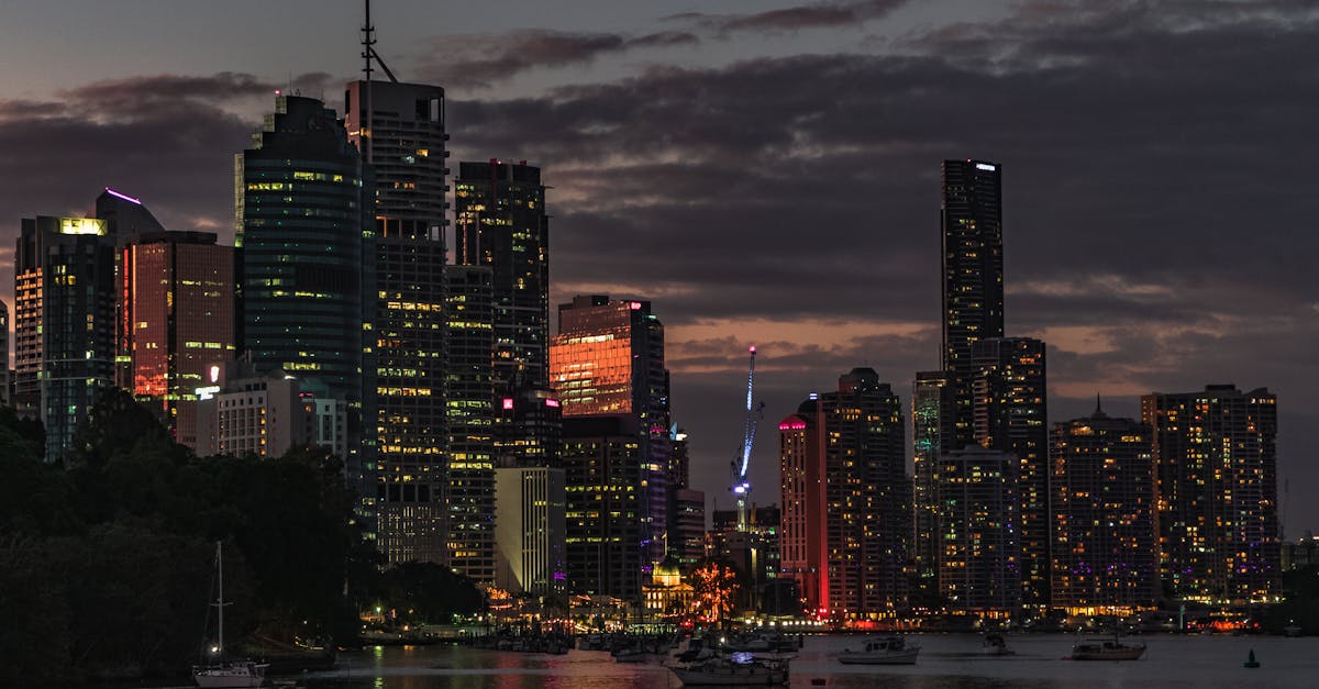 The Role of Synthetic Grass in Urban Biodiversity