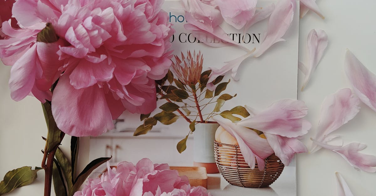 Understanding Different Types of Adhesives for Turf Installation