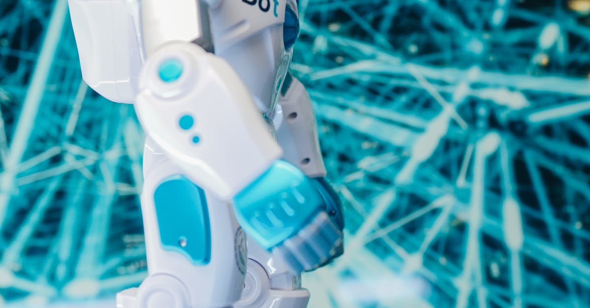 Understanding the Role of Permeable Layers in Synthetic Turf Systems