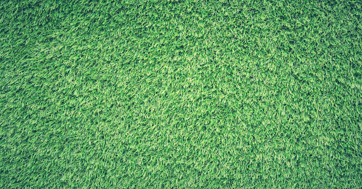 Year-Round Synthetic Turf Care: Monthly Maintenance Schedule for Brisbane